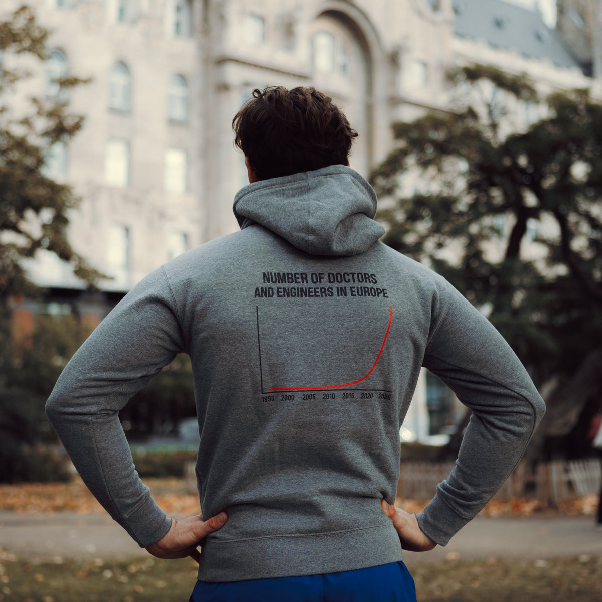 Number of Doctors and Engineers in Europe Hoodie