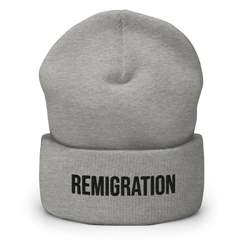 Remigration Beanie, Heather Grey, front view