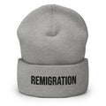 Remigration Beanie, Heather Grey, front view
