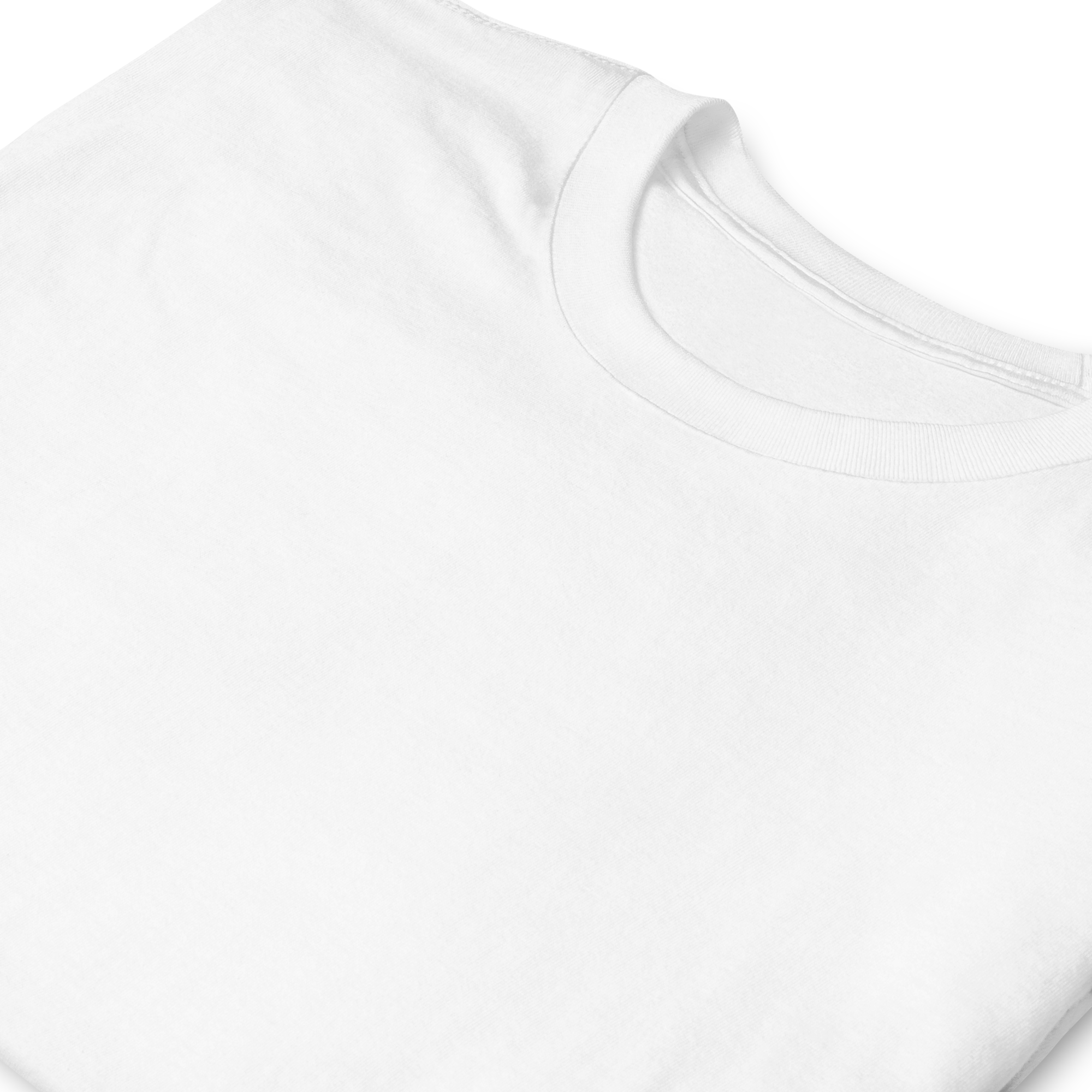 Immigration vs Everything Else T-Shirt