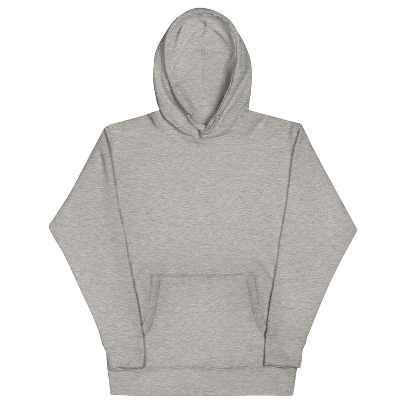 Number of Doctors and Engineers in Europe Hoodie, Carbon Grey, front view