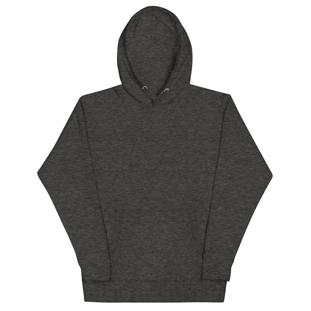 Doctors and Engineers Tour Hoodie, Charcoal Heather, front view